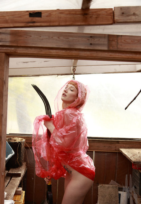 SDFoto free pornstar images