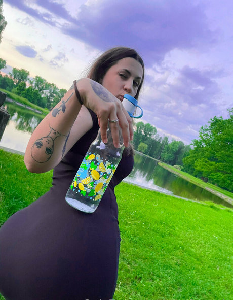 araniasortia star top photo