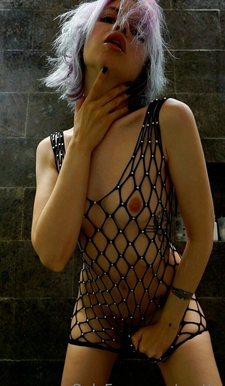 xxcttn nice star archive