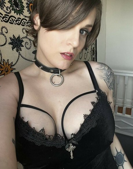 Bloodberry Tart nude star galleries