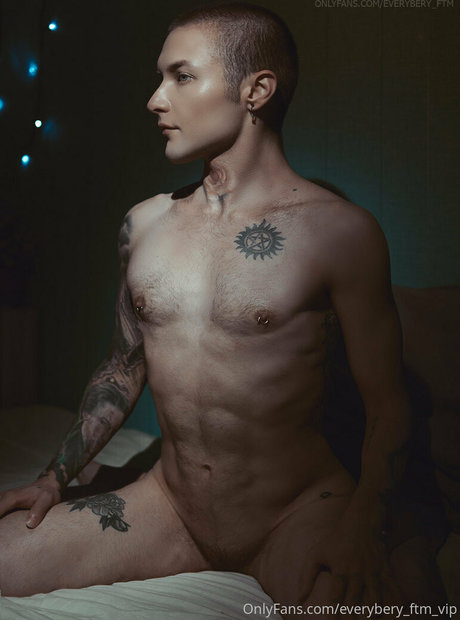 everybery ftm vip art model archive