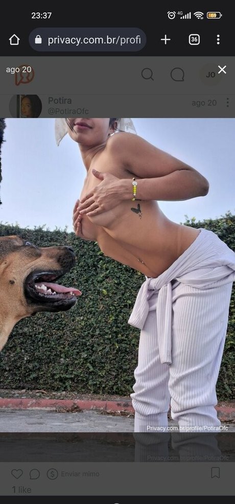 Jenifer potira art star galleries