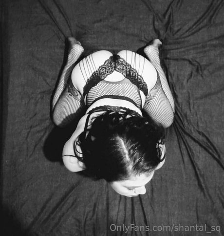 shantal sq pornstar adult galleries