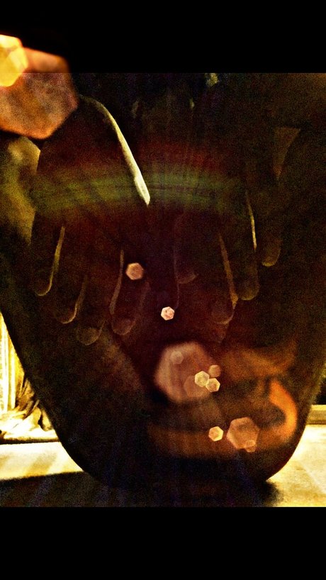 The Mystic star exclusive photo