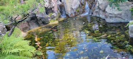 Mystibabe top model gallery