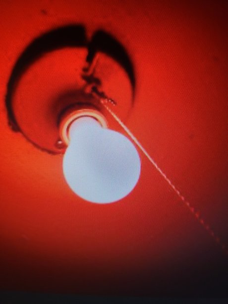 My Red Light District pretty star pictures