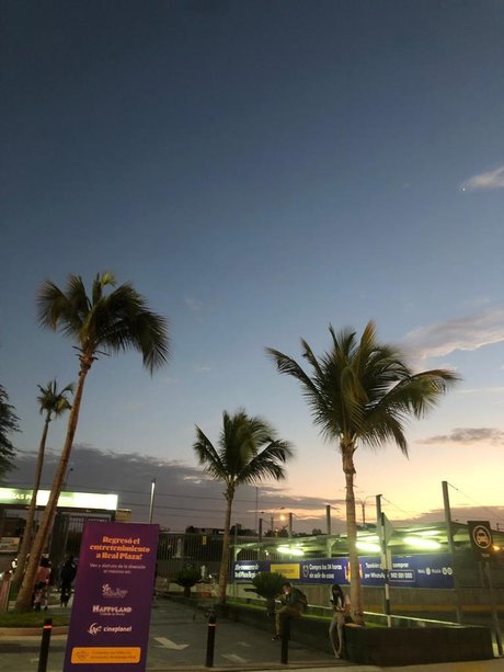 Mayra Rodr guez star nice pics