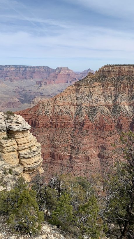 Colin Newman star best img