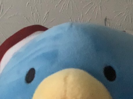 Micah he him_ best pornstar archive