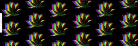 _Daddy_ xxx actress pic