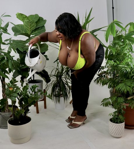 Da Plump top pornstar photo