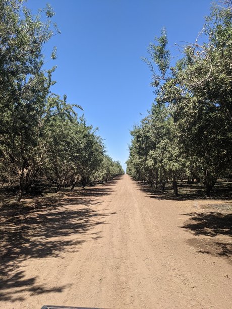 Farmer Adam pornographic star pictures