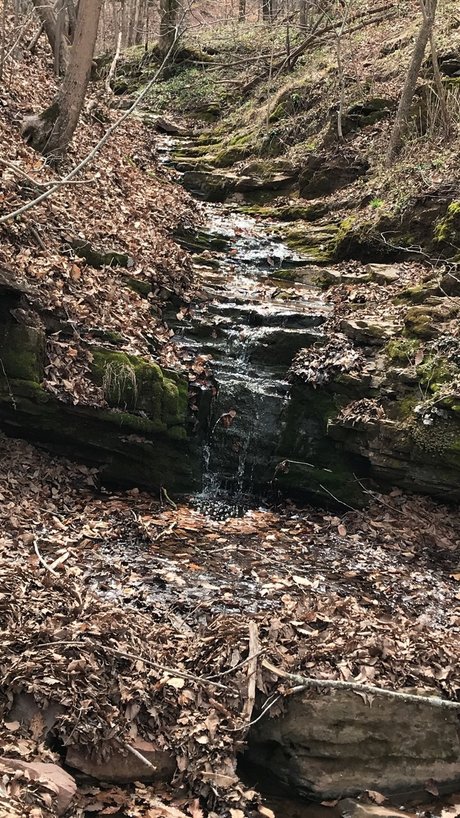 Z0R0D0M model pretty photos