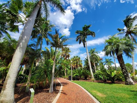 Natalie E Rose sexy actress pic