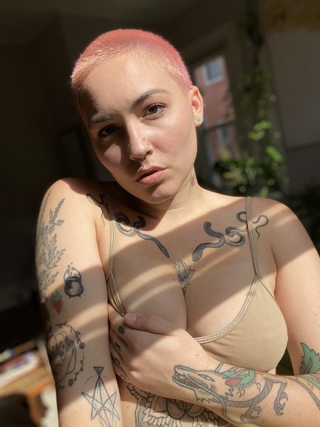 Veronica Vale pornstar hot archive