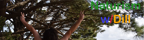 _The Rated R Superstar Dill art model pictures