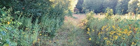 N A T U R E B A B E S free pornstar galleries