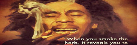 Ninja unicorn_ nice actress pics