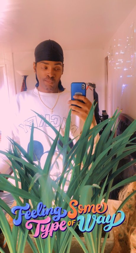 Tracii star porn img