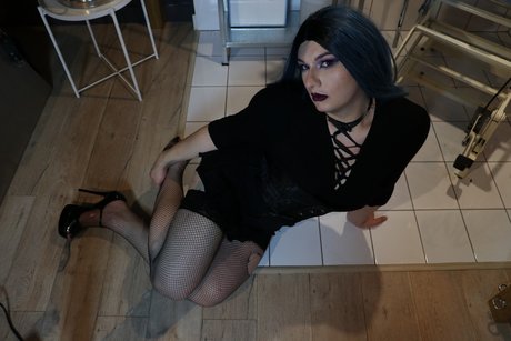 AllindaBack free star images