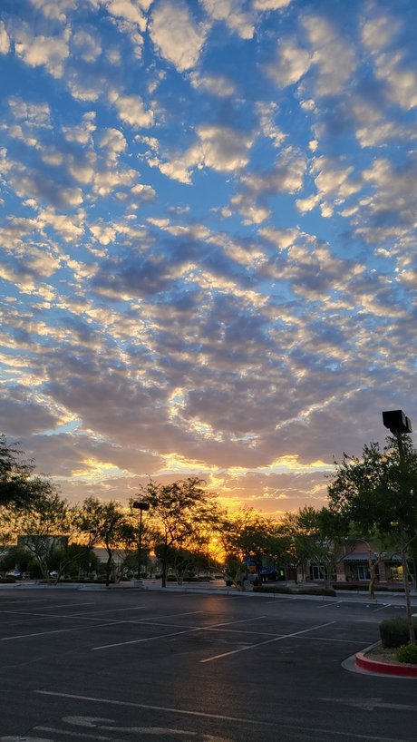 Nerdy Eye Candy free actress galleries