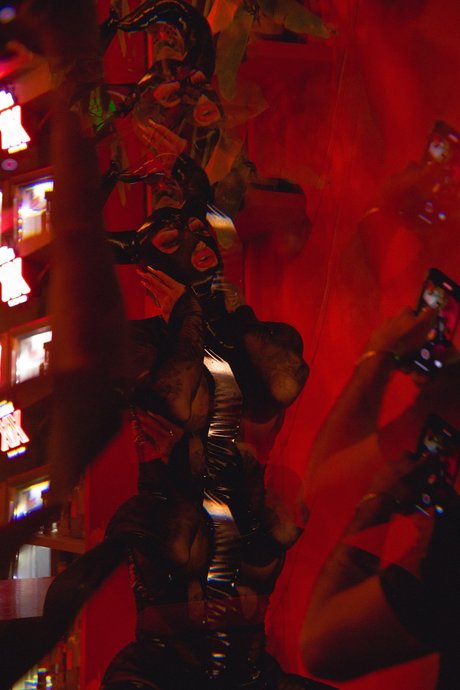 Dany Torres star perfect gallery