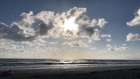 Hentai Grey model art pics