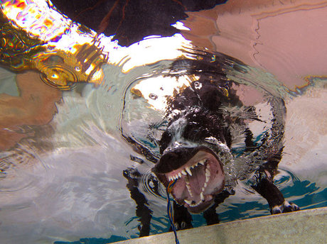 cuminside star erotic image