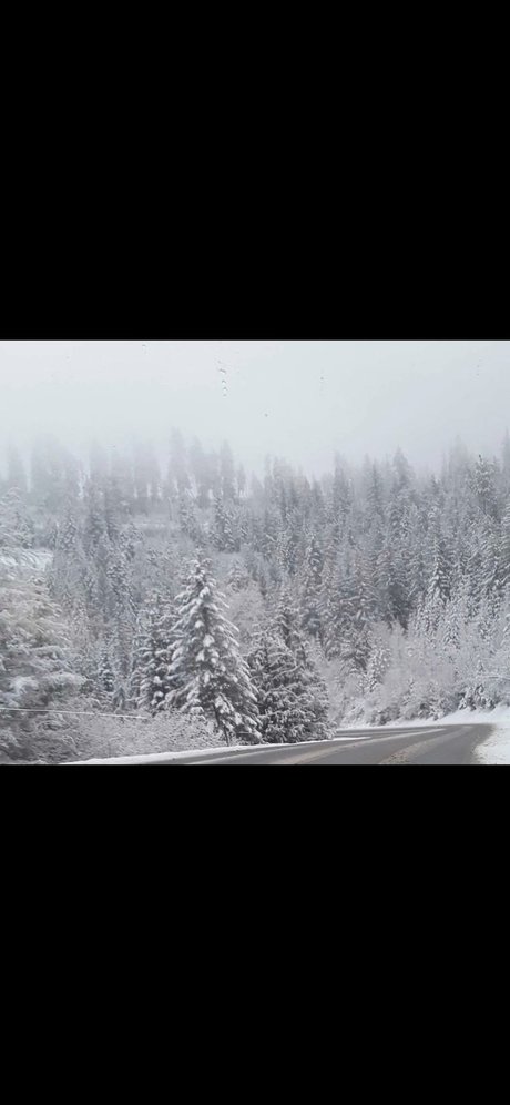 Casey lee Pappan pretty star picture