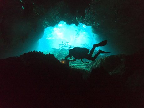 Gerson model high quality gallery