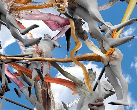 Noam Youngrak Son star nudes photos