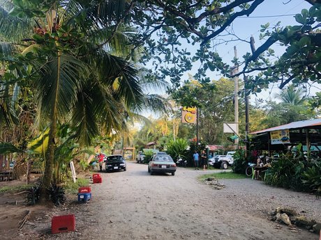 Niklaus adult model img