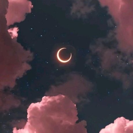 HoneyB_ pornstar perfect pics