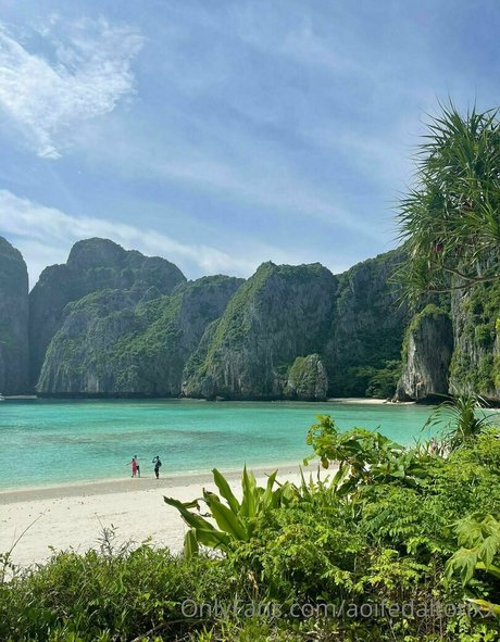 evadeexo porn model galleries