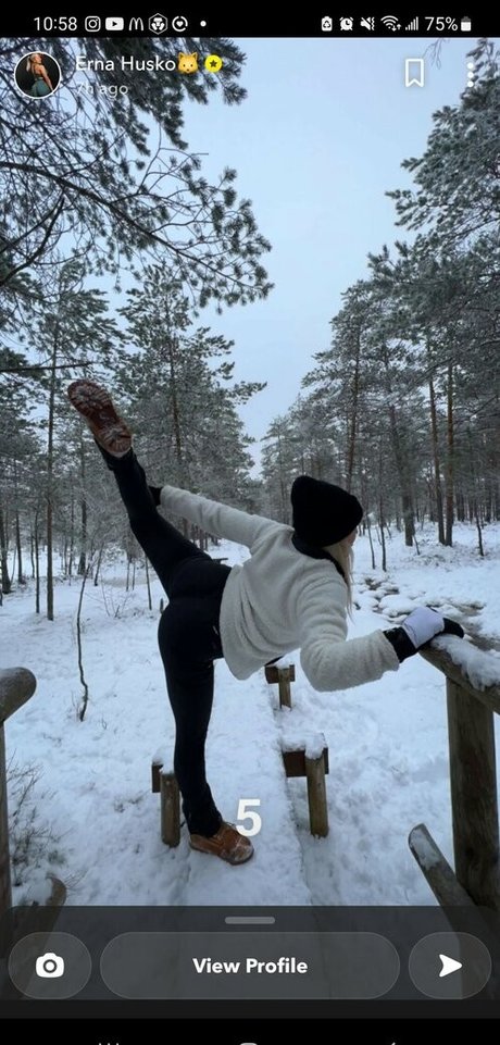 Erna Husko xxx actress photo