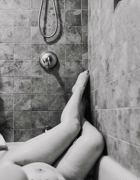 thetaxaccountant star hd gallery