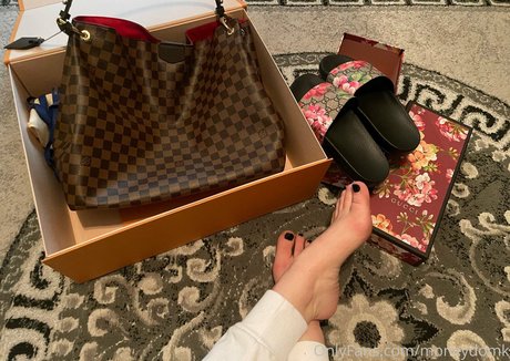 moneydomk Profile pic