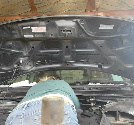 ameliab13 model best img