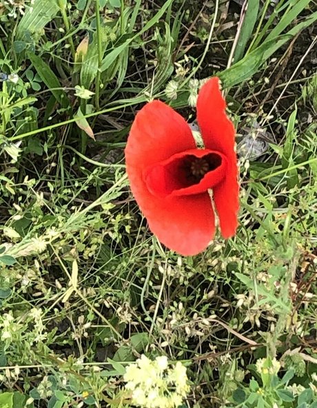 femdomyou naked model image