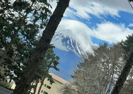 riariver pornstar hd archive