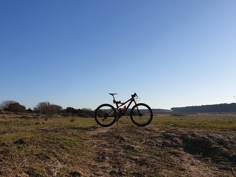 ntonio78 star art image