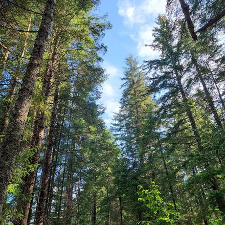 Armand William model perfect img