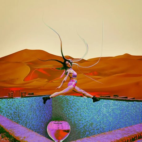 Chaotic Pix_ model free image