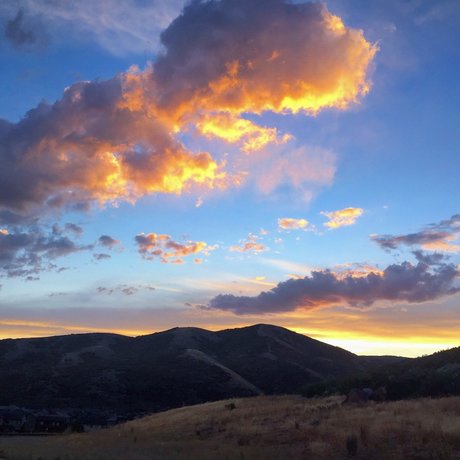 Alexander Mecum star free pics