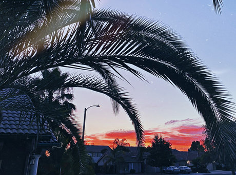 Newdsconnoisseurs exclusive model photos