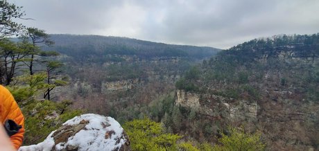 Nunchuckmcgee free model image