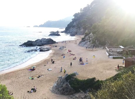 Nudism and Toys porn model photo