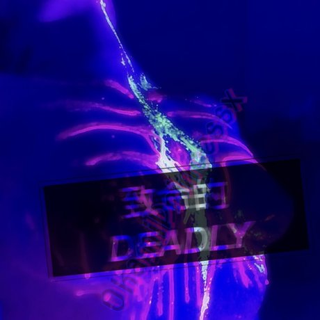 OkamiPrincessPromotions best star pictures