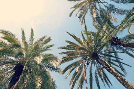 Tootiee_ star archive