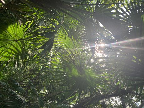 Ocher X sex actress pics